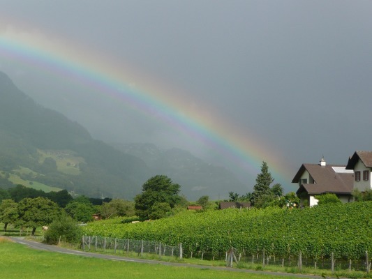 遷安市淼玉水族館（遷安市淼玉水族館電話號碼）