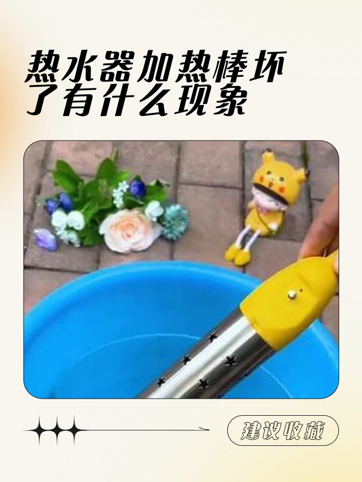 死龍魚圖片