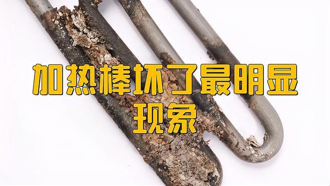 死龍魚圖片