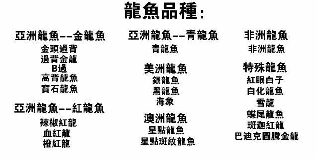 大金頭過背金龍魚有哪些品種？