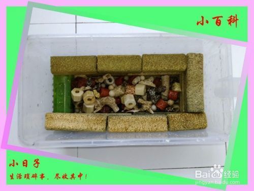 魚(yú)缸濾材怎么做的：自制魚(yú)缸過(guò)濾棉的方法