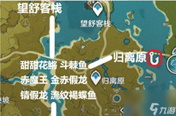 石家莊長安區(qū)博洋觀賞魚店