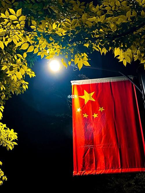 紅龍之眼壁紙有哪些風(fēng)格可選？