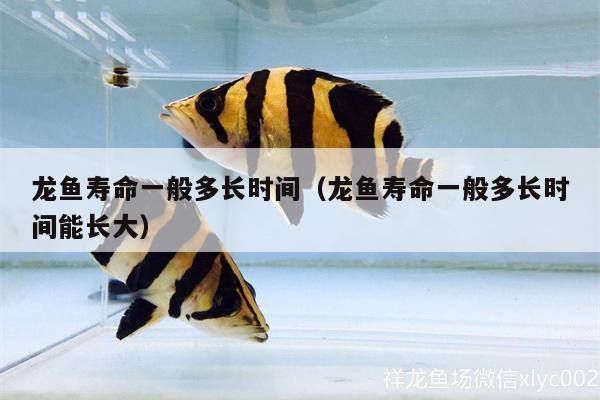 佛山市顺德区大良好功夫体育用品商行（大良功夫客电话号码）