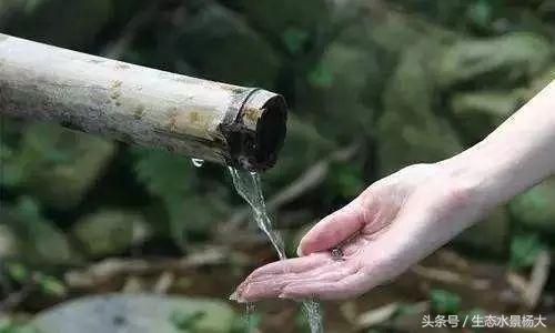 草缸與魚缸的區別：草缸和魚缸和魚缸的區別，草缸和魚缸的區別是什么