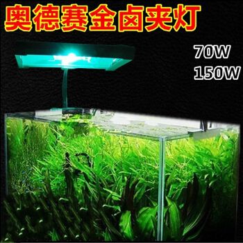 海水魚缸品牌選擇：海水魚缸十大品牌推薦