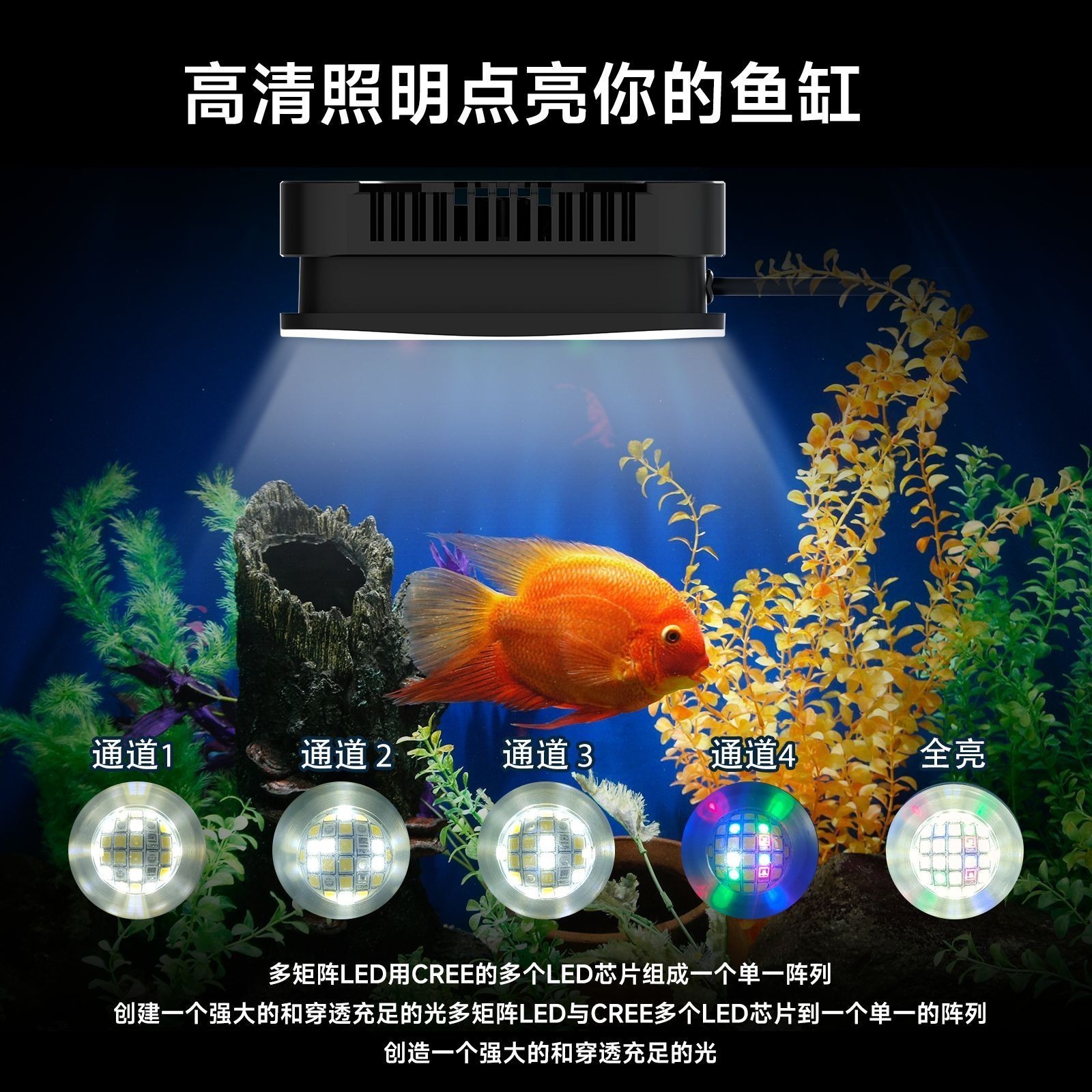 海水魚缸品牌選擇：海水魚缸十大品牌推薦