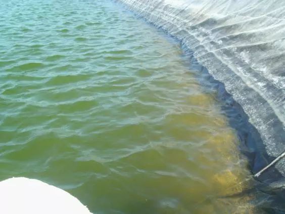 歐寶魚缸屬于什么檔次的品牌：歐寶魚缸屬于什么檔次的品牌探究其品牌定位、市場(chǎng)表現(xiàn)及用戶口碑