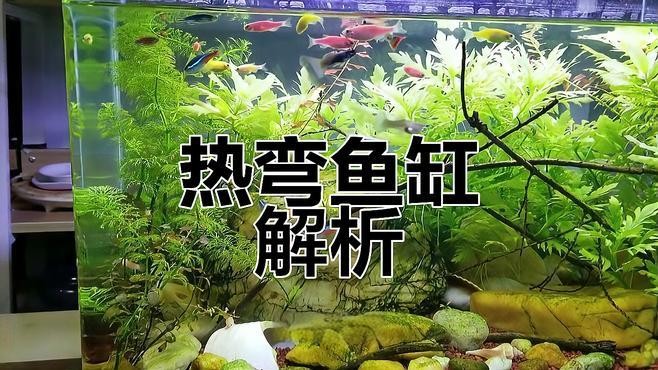 龍魚缸材質(zhì)哪種最好？