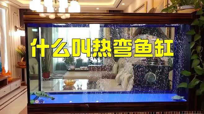 龍魚缸材質(zhì)哪種最好？