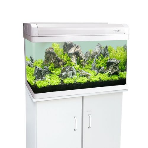 龍魚缸材質(zhì)哪種最好？