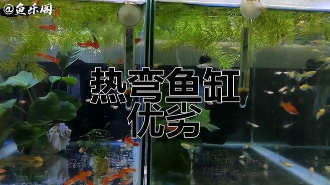 龍魚缸材質(zhì)哪種最好？