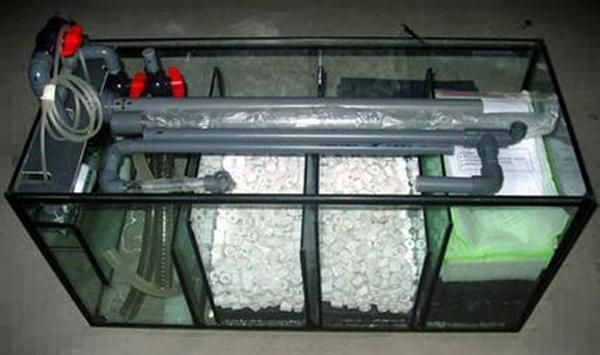 魚缸過濾器視頻：魚缸過濾器安裝視頻 魚缸過濾器視頻：魚缸過濾器安裝視頻 魚缸百科 第4張