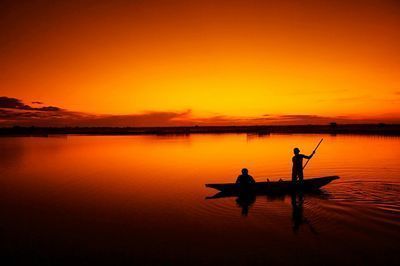 龍魚多久可以繁殖出來：龍魚的繁殖周期
