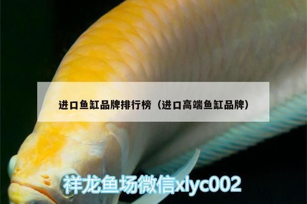 高端魚缸有哪些牌子的好：知名的高端魚缸品牌