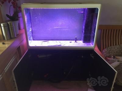 魚缸品牌7s：7s魚缸品牌歷史沿革