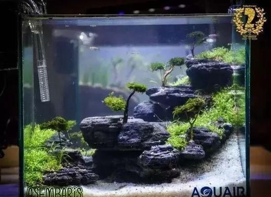 奉化市生態掌中寶水族館（奉化市生態掌中寶水族館電話）