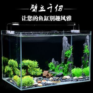 魚缸造景技巧與疾病預防養(yǎng)護技巧和疾病預防知識：如何選擇適合自己的魚缸