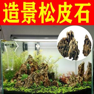 魚缸造景技巧與疾病預防養(yǎng)護技巧和疾病預防知識：如何選擇適合自己的魚缸