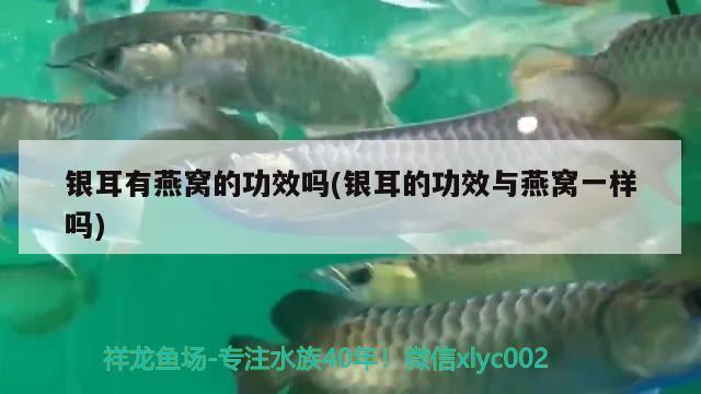 朝陽市雙塔區玫瑰緣鮮花水族店 全國水族館企業名錄 第1張 朝陽市雙塔區玫瑰緣鮮花水族店 朝陽市雙塔區玫瑰緣鮮花水族店 全國水族館企業名錄 第1張