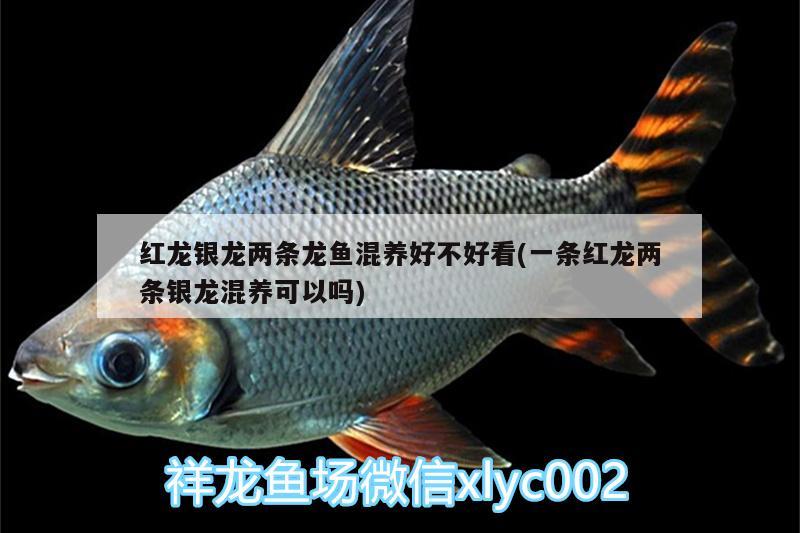 焦作市山陽區趙鑫玻璃店 全國水族館企業名錄 第1張 焦作市山陽區趙鑫玻璃店 焦作市山陽區趙鑫玻璃店 全國水族館企業名錄 第1張