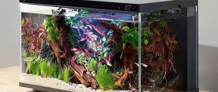 小米魚缸換水功能如何使用：小米智能魚缸換水功能
