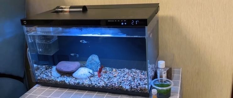 小米魚缸換水功能如何使用：小米智能魚缸換水功能