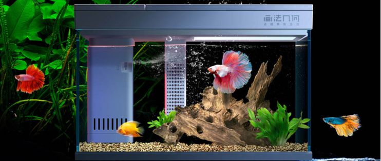 小米魚缸換水功能如何使用：小米智能魚缸換水功能