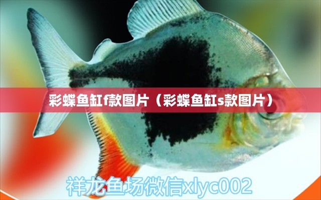 龍魚干蝦有營(yíng)養(yǎng)嗎 山西省繁峙縣幸福旅游開發(fā)有限公司(山西省繁峙縣幸福旅游開發(fā)有限公司招聘) 全國(guó)水族館企業(yè)名錄 山西省繁峙縣幸福旅游開發(fā)有限公司(山西省繁峙縣幸福旅游開發(fā)有限公司招聘) 山西省繁峙縣幸福旅游開發(fā)有限公司(山西省繁峙縣幸福旅游開發(fā)有限公司招聘) 全國(guó)水族館企業(yè)名錄