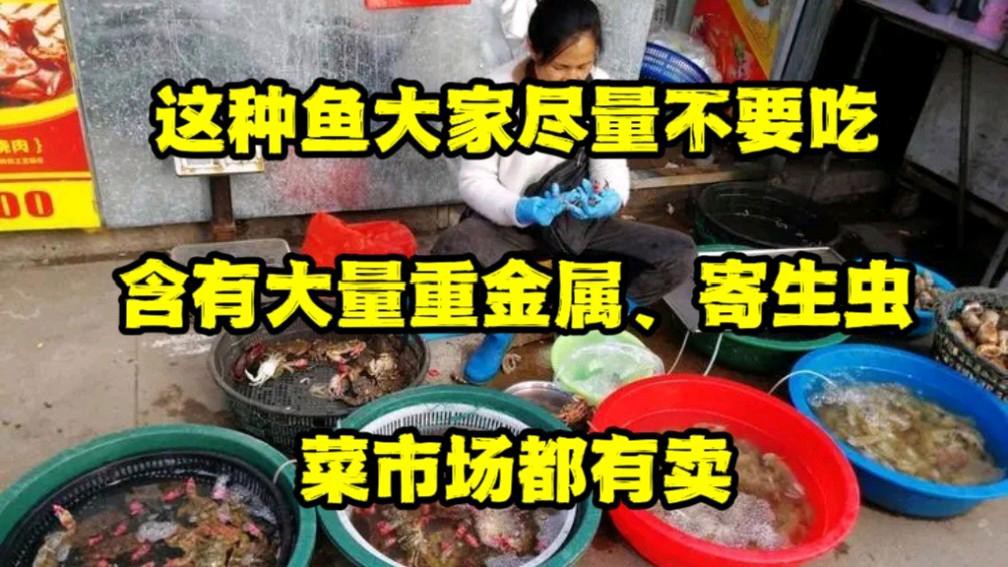 觀賞魚金龍魚可以吃嗎有毒嗎 觀賞魚金龍魚可以吃嗎有毒嗎 龍魚百科