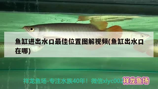 德州市陵城區旭穎花卉漁具店（德州市陵城區旭穎花卉漁具店電話）