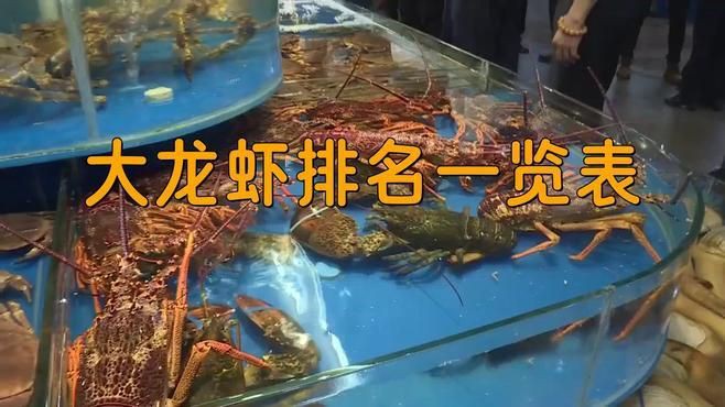 龍蝦最好的三個品種