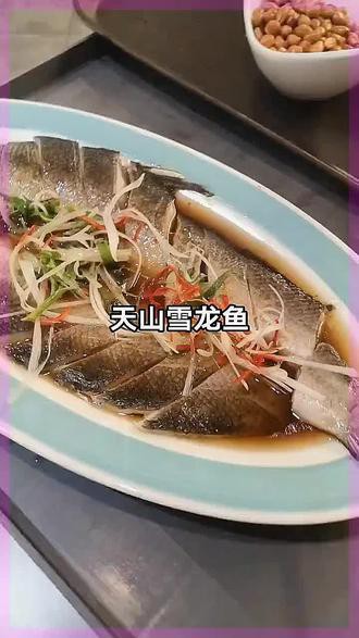 天山龍魚圖片高清大圖欣賞
