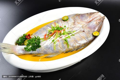 天山龍魚圖片高清大圖欣賞