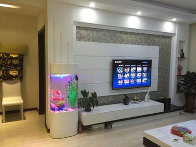 電視旁邊是否可以放魚缸？：電視旁邊可以放魚缸嗎？ 電視旁邊是否可以放魚缸？：電視旁邊可以放魚缸嗎？ 魚缸百科 第4張