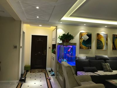 電視旁邊是否可以放魚缸？：電視旁邊可以放魚缸嗎？ 電視旁邊是否可以放魚缸？：電視旁邊可以放魚缸嗎？ 魚缸百科 第1張