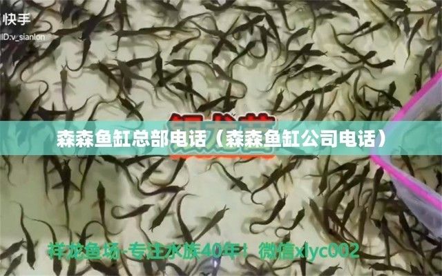 森森魚缸服務電話：森森魚缸加盟條件查詢森森魚缸在線客服入口