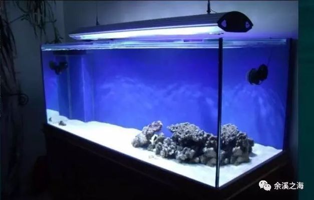 魚缸選型，魚缸過濾系統的選購指南 魚缸選型，魚缸過濾系統的選購指南 魚缸百科 第1張