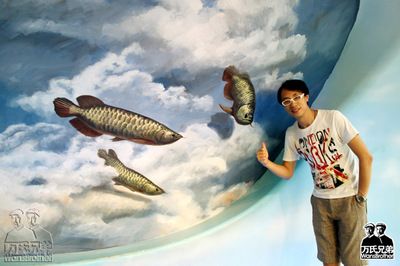 金龍魚畫畫，金龍魚簡筆畫入門教程