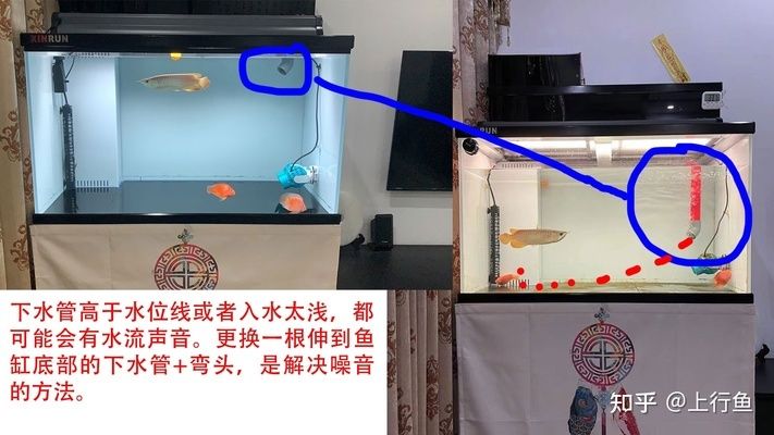 魚缸下水管噪音大怎么辦？：底濾魚缸下水管出現轟隆轟隆聲怎么辦？
