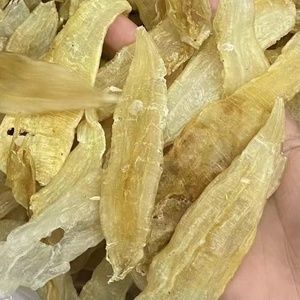 如何識別金龍魚膠的好壞：如何識別金龍魚膠的好壞，從以下幾個方面進行辨別