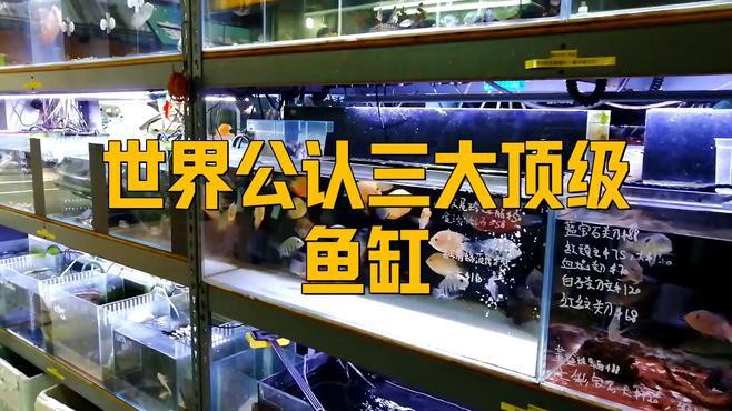 德克龍魚缸