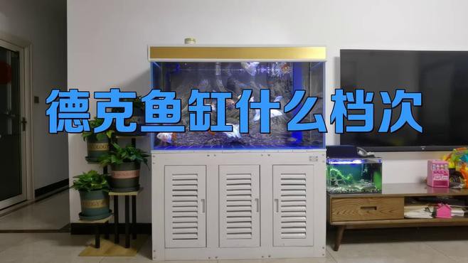 德克龍魚缸