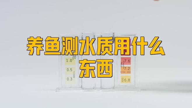 如何測試和調節紅龍魚的水質？