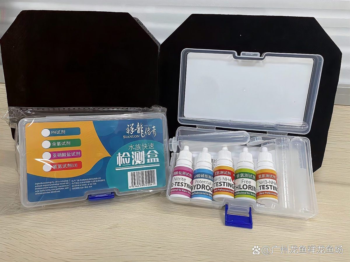 如何測試和調節紅龍魚的水質？