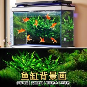 紅鯉魚魚缸當什么點綴好看（如何打造個性化魚缸）