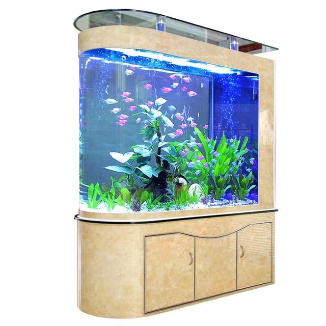 紅鯉魚魚缸當什么點綴好看（如何打造個性化魚缸）