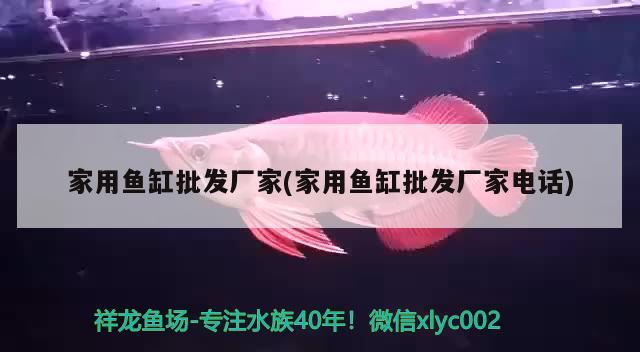 云城區洪偉水產品店