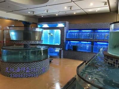 熱帶觀賞魚的養(yǎng)護秘籍熱帶觀賞魚的養(yǎng)護秘籍熱帶觀賞魚的養(yǎng)護秘籍：水族箱溫度控制的重要性