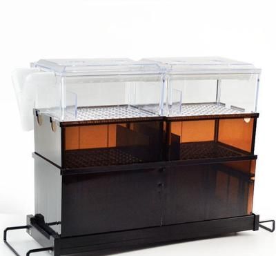 海鮮魚缸消毒用什么藥（魚缸消毒與魚類健康的關系）